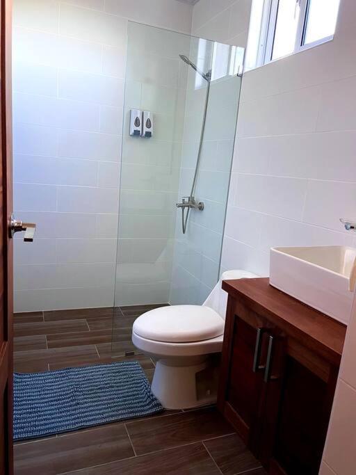 شقة Magnificent Pent House W/Jacuzzi سانتياغو دي لوس كاباليروس المظهر الخارجي الصورة